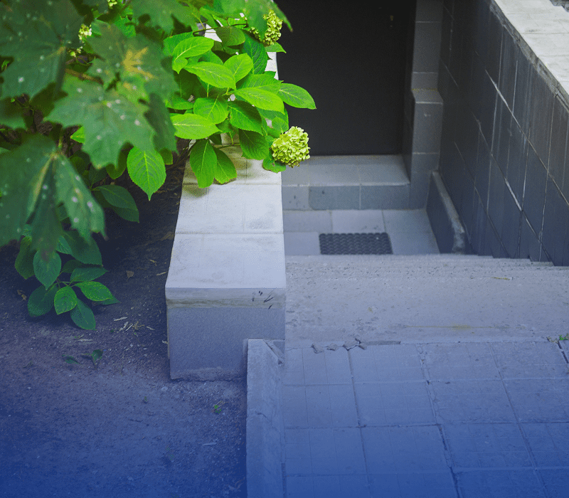 Stairs leading to a basement entrance.